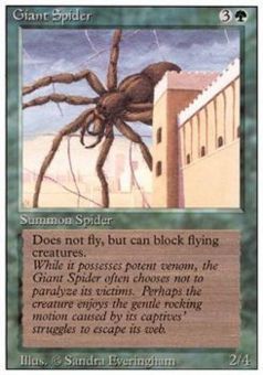 Ragno Gigante