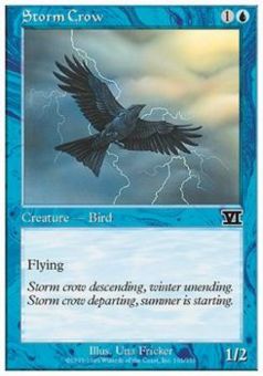 Corvo delle Tempeste