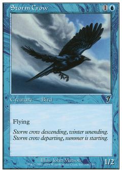 Corvo delle Tempeste