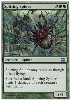 Ragno Sputatore