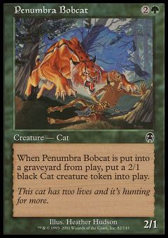 Lince Rossa della Penombra