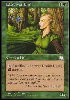 Druido di Llanowar