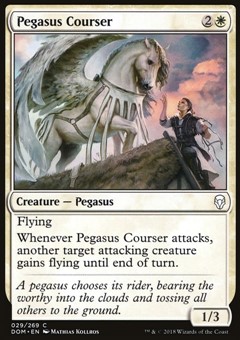 Pegaso Corsiere