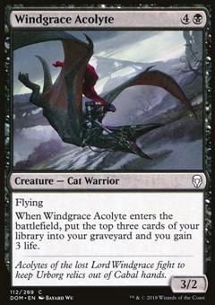 Accolito di Windgrace