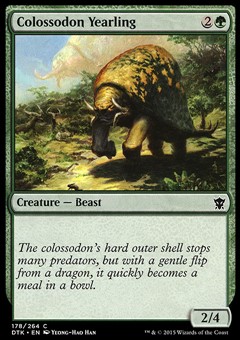 Cucciolo di Colossodonte
