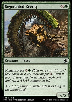 Krotiq Segmentato
