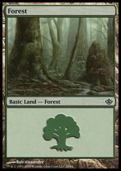 Forest (Ver. 1)