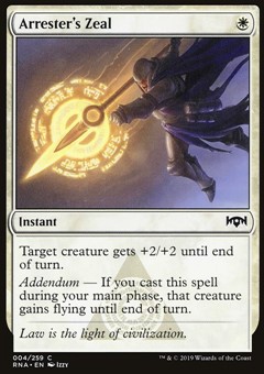 Zelo dell'Agente di Polizia