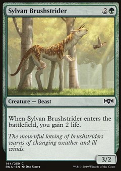 Errante Boscoso Silvano