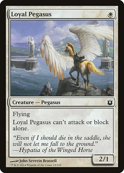 Pegaso Leale