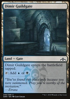 Cancello della Gilda Dimir (Ver. 2)