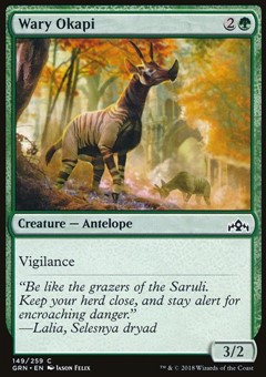 Okapi Diffidente