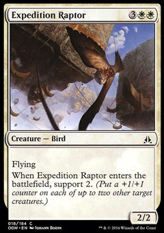 Rapace della Spedizione