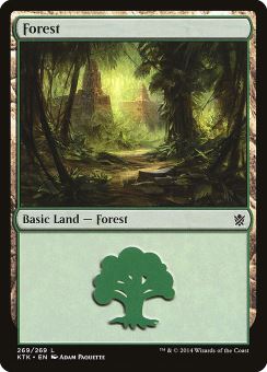 Foresta (Ver. 4)
