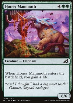 Mammut del Miele