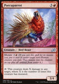 Istrigallo (Ver. 1)