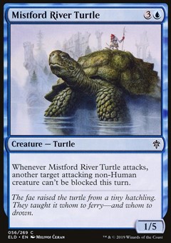 Tartaruga del Fiume Brumaguado