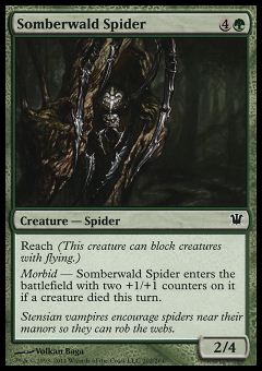 Ragno di Somberwald