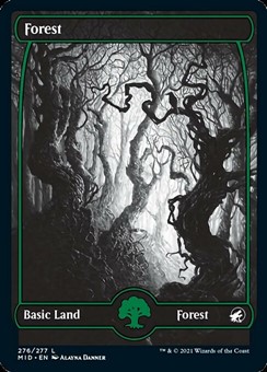 Foresta (Ver. 1)