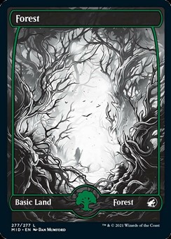 Foresta (Ver. 2)