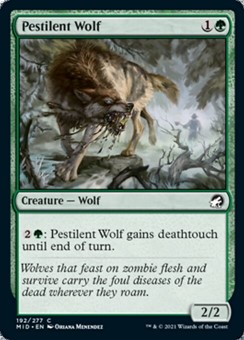 Lupo Pestilenziale