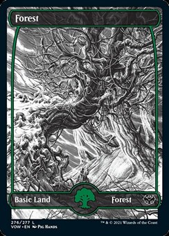 Foresta (Ver. 1)