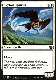 Rapace Aviovorticante