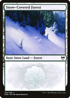 Foresta Innevata (Ver. 1)