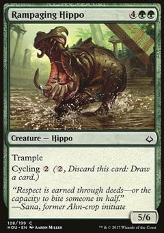 Ippopotamo Infuriato
