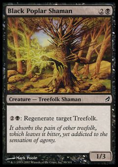 Pioppo Nero Sciamano