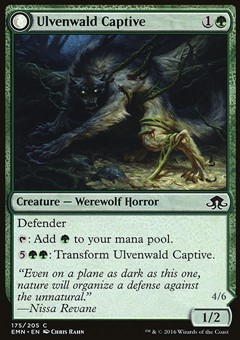 Prigioniero di Ulvenwald