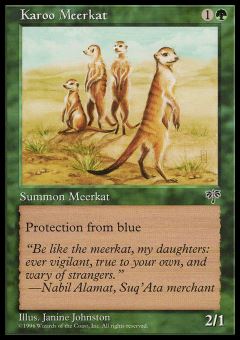 Meerkat Karoo