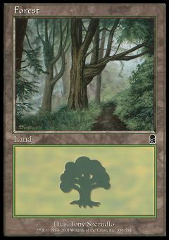 Foresta (Ver. 4)