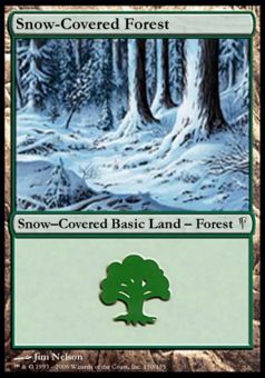 Foresta Innevata