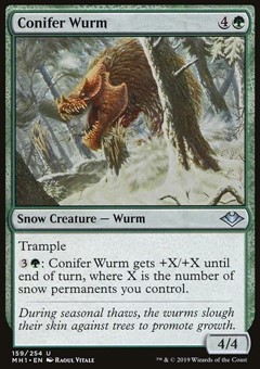 Wurm delle Conifere