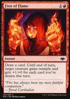 Pugni di Fiamme