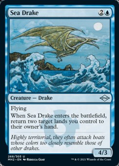 Draghetto Marino