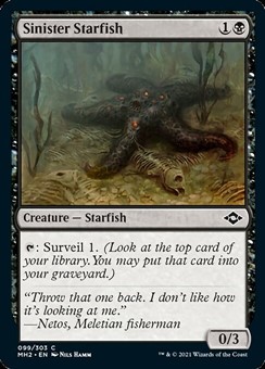 Stella Marina Sinistra