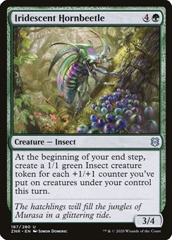 Cornoleottero Iridescente