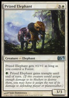 Elefante Stimato
