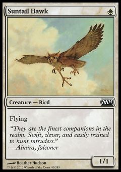 Falco Astrocoda