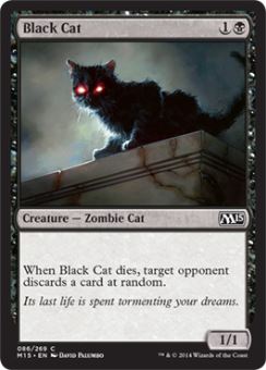 Gatto Nero