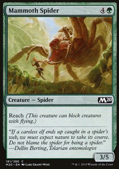 Ragno Mammut