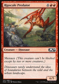 Predatore Strappascaglia