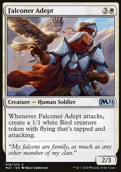 Falconiera Esperta