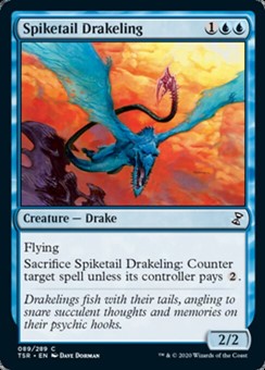 Draghettino Codapunta