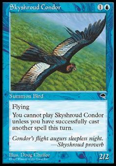 Condor di Cielsudario