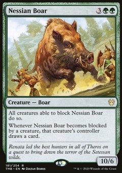 Cinghiale Nessian