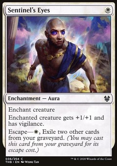 Occhi della Sentinella