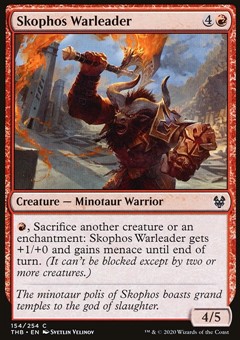 Condottiero di Skofos